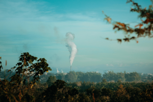 Impact environnemental des entreprises : entre divulgation et réalité. La professeure Mādālina Solcánu s’intéresse à la question.